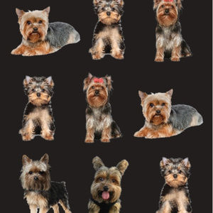 Yorkie Beach Towel